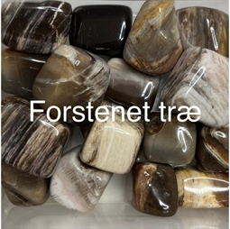 Stjernetegn og lykkesten - Forstenet træ - Spirituelle sten